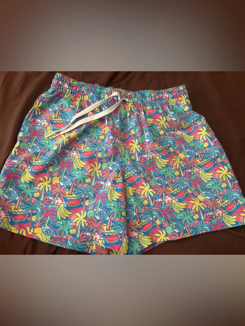 Chubbies “Blue Fruit” Swim trunks